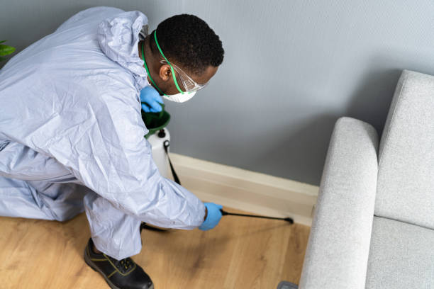 Best Fumigation Services  in Lmar, DE